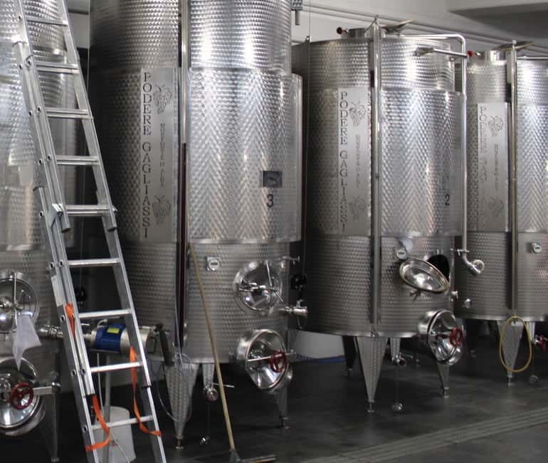 Monforte d'Alba: Wine Tasting, Cellar Visit, and Vineyard Tour - An In-Depth Look at the Experience