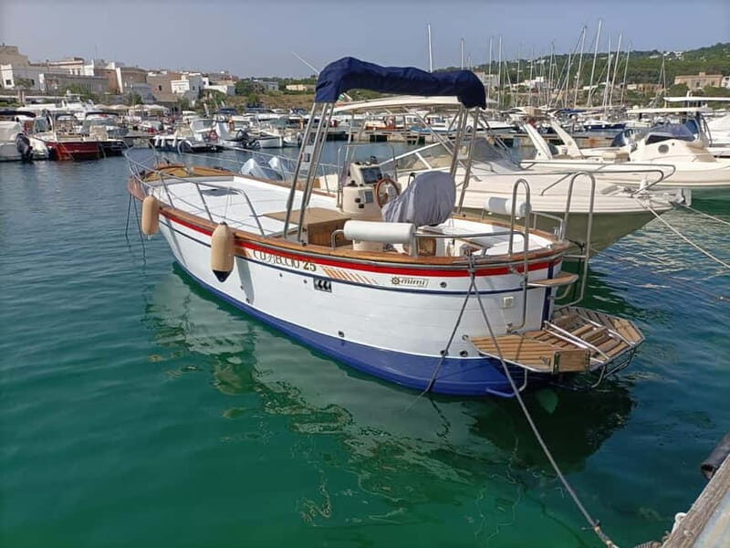 Monopoli: 2.5 Hour Boat Tour to the Polignano a Mare Caves - The Value of This Tour