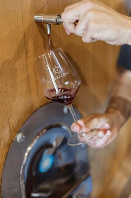 Montalcino: Wine Tasting and Tuscan Lunch - An In-Depth Look at the Tour
