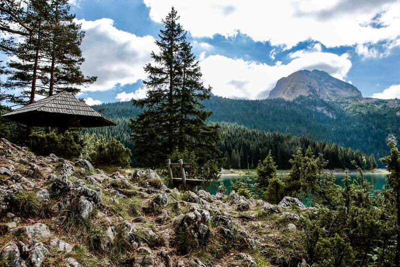 Montenegro: Durmitor, Tara & Ostrog Monastery Day Trip - Transportation & Group Experience