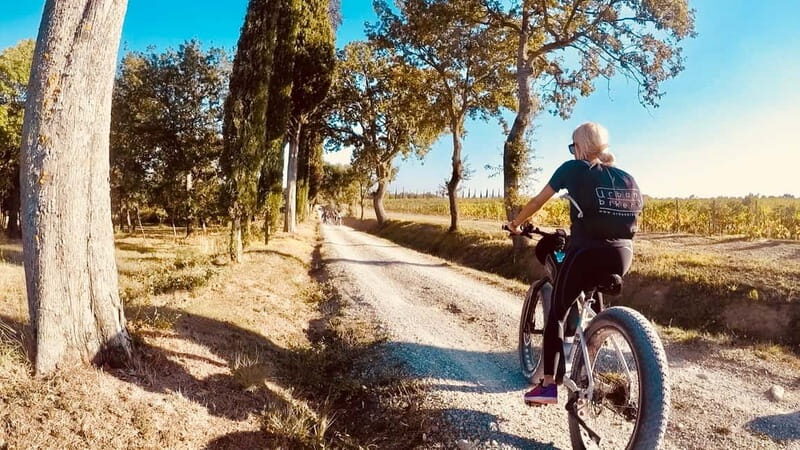 Montepulciano: Wine Tour E-Bike Experience - The Route and Itinerary