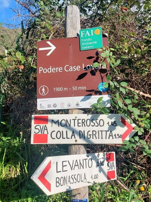 Monterosso Hiking Tour: Discover the Best Trails of 5 Terre - Practical Details