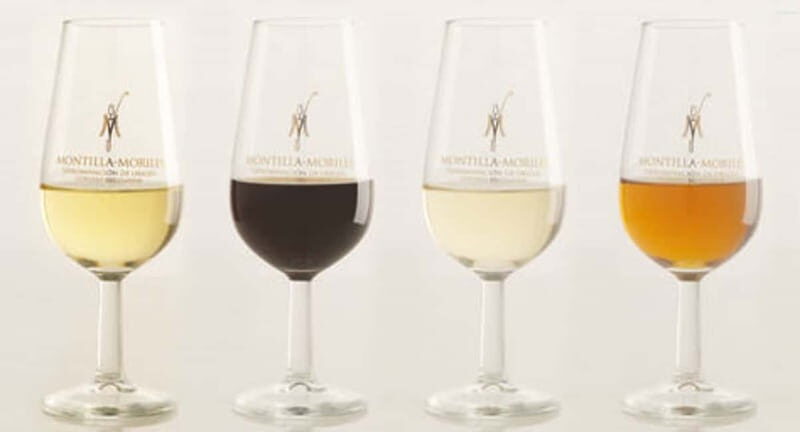 Montilla-Moriles Wine Tasting - What to Expect from the Tour