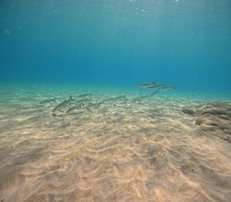 Morro Jable: Try Diving Experience for Beginners - What to Expect During the Experience
