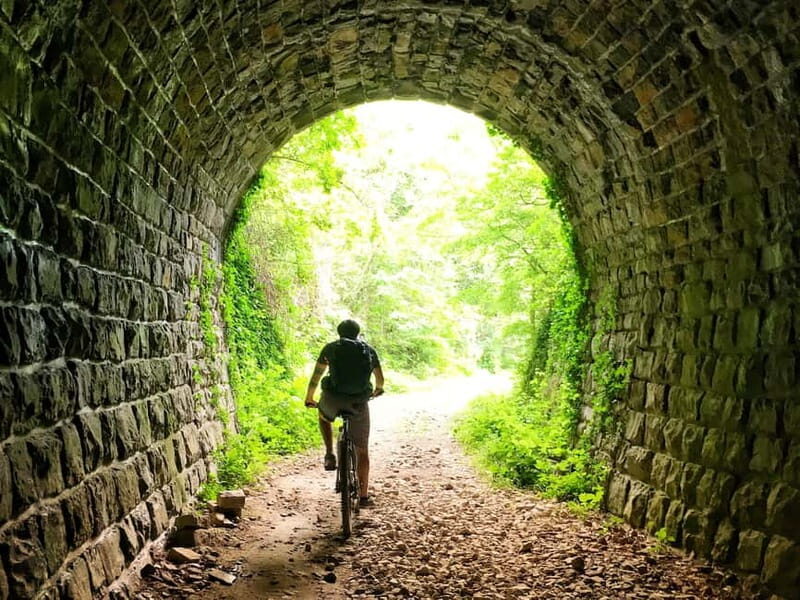 Motovun: E-Bike Tour in Istria - What to Expect During the Tour