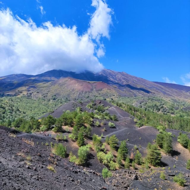 Mount Etna and Alcantara Gorges Day Trip - Transportation, Group Size, and Overall Value
