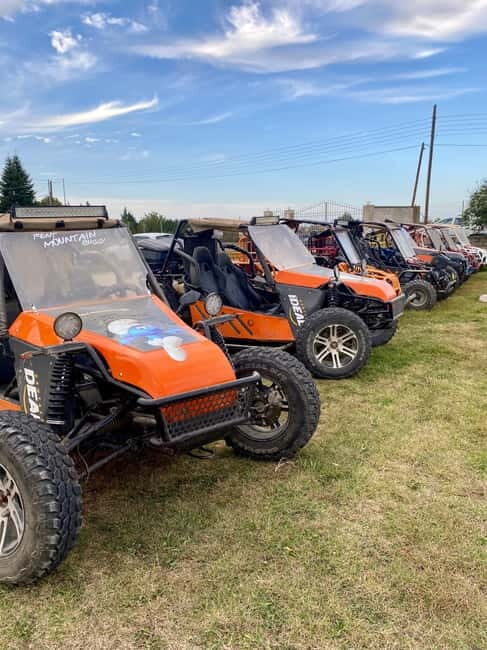 Mountain Buggy Thessaloniki: Shelter Route - Hortiatis Mountain - Who Should Consider This Tour?