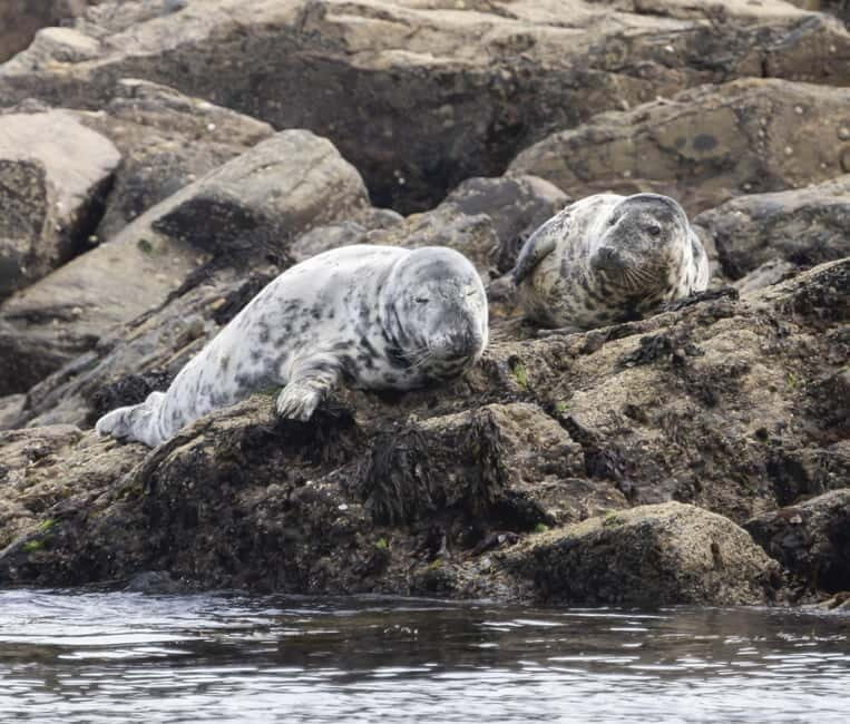 Mounts Bay, Penzance Boat Trip - Who Should Consider This Tour?