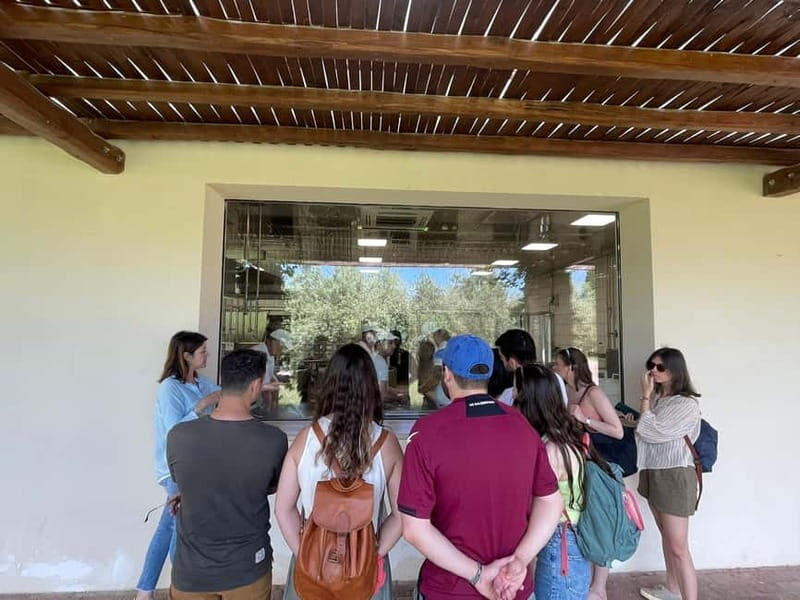 Mozzarella Experience: Tour + Lunch in Paestum's dairy - Experience the Best of Paestum’s Dairy in a Short and Sweet Tour