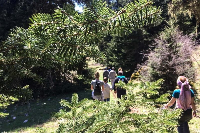 Mt. Parnassos: Mountain Bike in Altitude Forest - The Logistics: Practical Details and Value