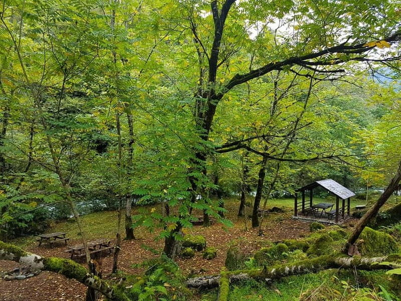 Mtirala National Park 2-Day Guided Hiking Tour from Kutaisi - The Sum Up: Who Will Love This Tour?