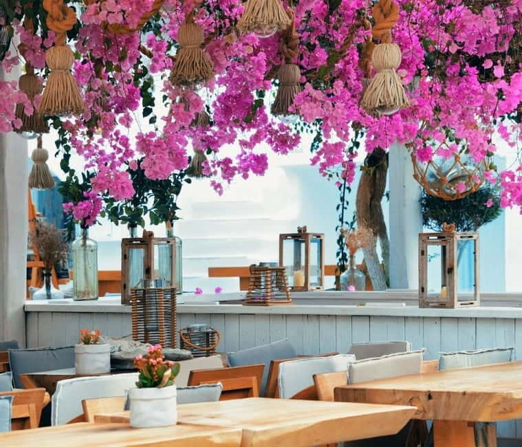 Mykonos: Private Island Tour with Transfers and Greek Meal - What Makes This Tour Stand Out?