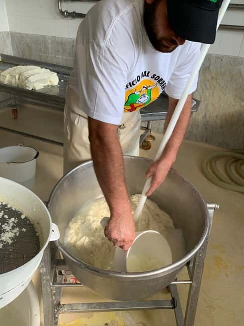 Naples: Mozzarella Experience, Taste of Southern Italy - The Itinerary Step-by-Step