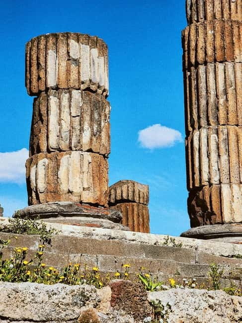 Naples: Pompeii & Herculaneum Shared Regular Group Tour - What’s Included and What’s Not