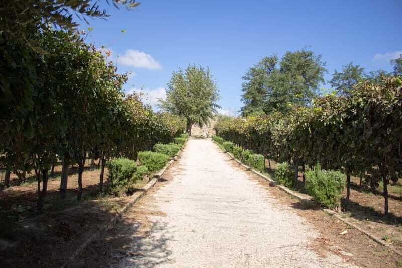 Naples Tuk Tuk Experience: Panoramas and Vineyards. - Detailed Breakdown of the Itinerary
