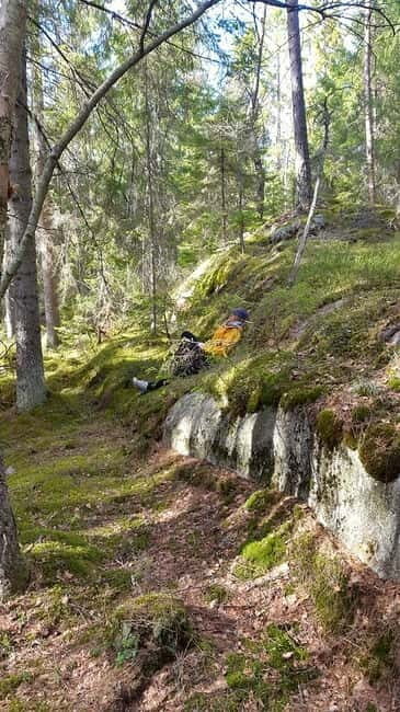Nature Hike from Stockholm - Authentic Moments and Real Reviews