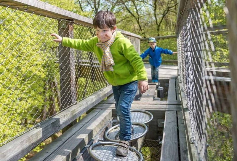 Naturerbe Zentrum Rügen & Treetop Walk Experience - Authentic Visitor Insights