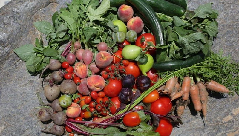 Naxos: Hands-On Cooking Class with Local Wine - What Makes the Experience Special?