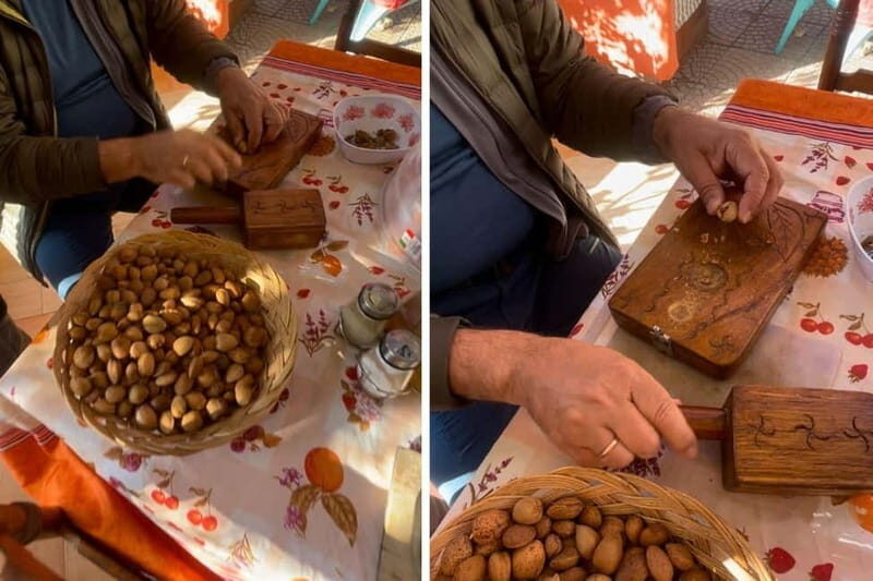Near Cagliari: Almond Blossom Magic at "In Our Garden" (new) - Final Thoughts