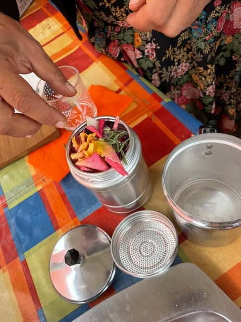 Near Cagliari: Wild Herbs and Healing at "In Our Garden" - The Value of This Experience