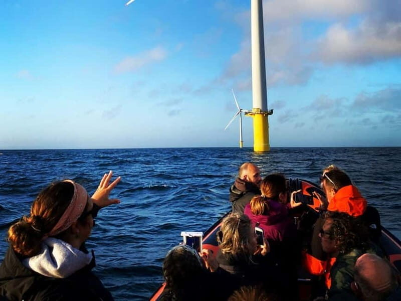 Newhaven: Rampion Offshore Wind Farm Boat Tour - Practical Details & Logistics
