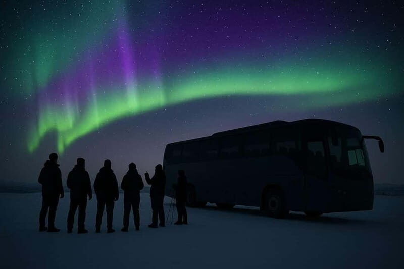 Northern Lights Spotting Tour from the Cruise Harbor - What to Expect on the Northern Lights Spotting Tour