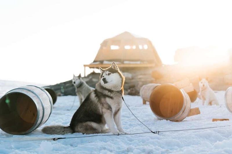 Norway: Overnight Stay at Glacier Campsite - Value and Considerations