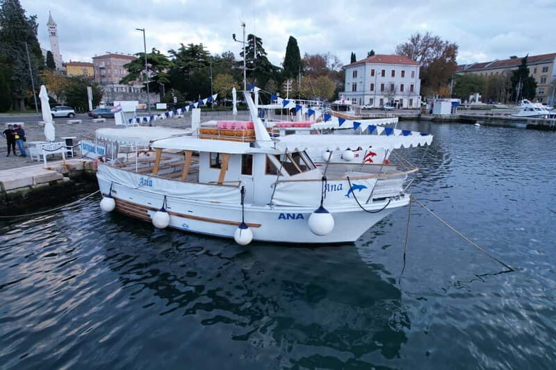 NP Brijuni Island Swimming & Dolphin Watching Sunset Cruise - Who Will Love This Tour?