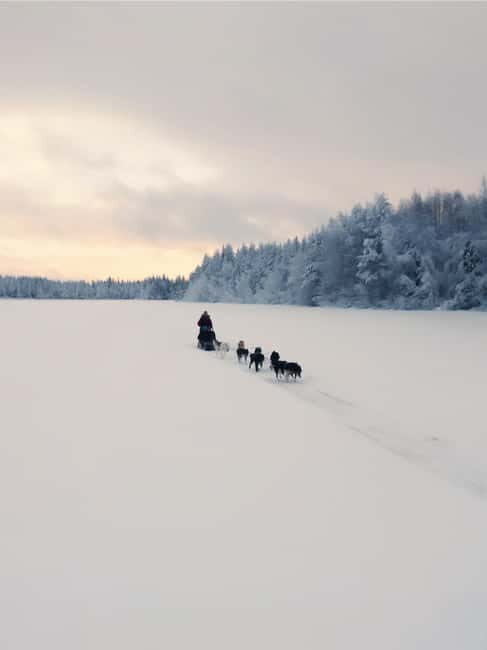 Nulkki Husky Adventure - What You Can Expect During the Ride