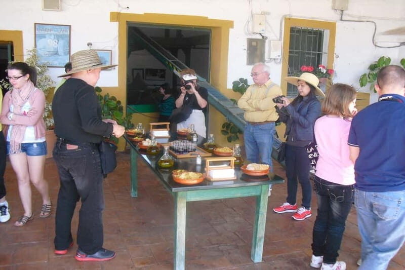 Oil Mill and Agro-Food Market from Costa del Sol - The Practicalities: What You Need to Know