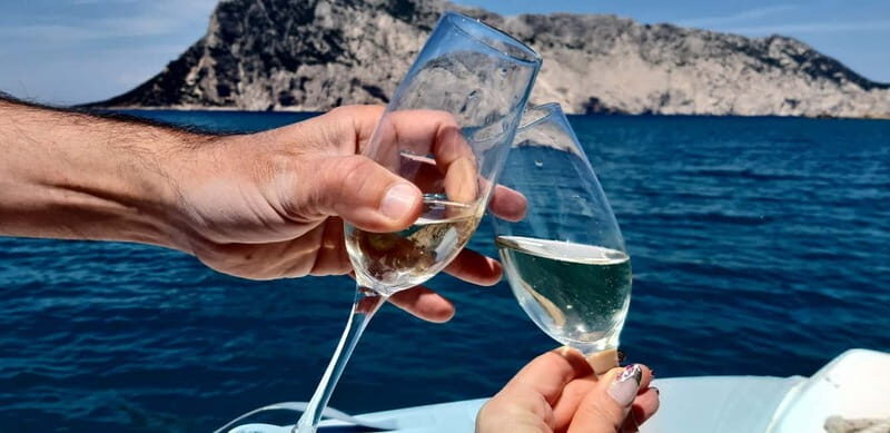 Olbia: Boat tour to watch Dolphins and snorkeling - Why Dolphin Watching Matters