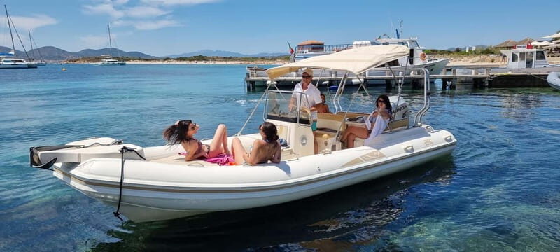 Olbia: Dolphin Watching & Swim with prosecco aperitif - The Itinerary Breakdown