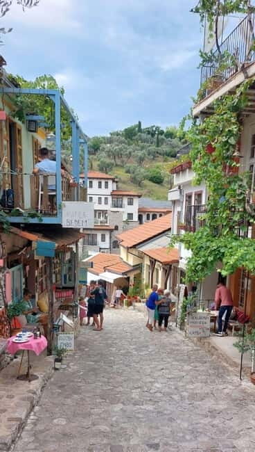Old Town Bar, Old Olive Tree and the region of olive groves - Exploring Old Town Bar: A Walk Through Time