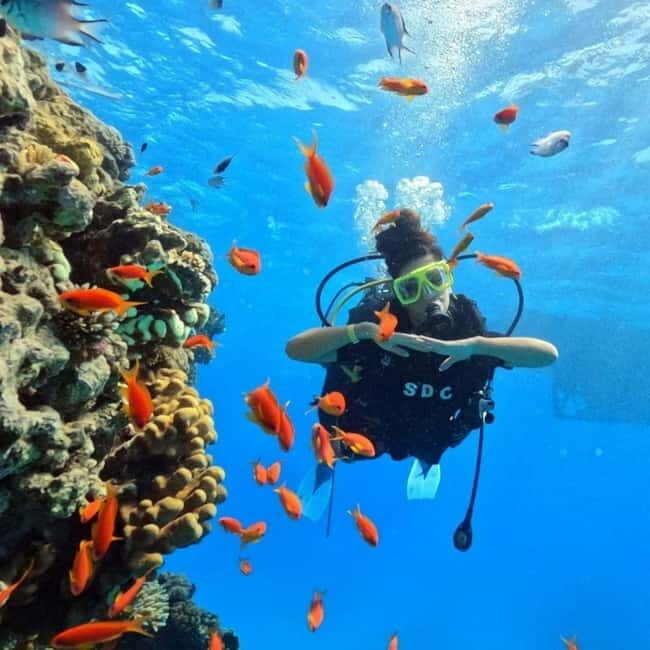Oludeniz Half Day Scuba Diving Program - Final Thoughts: Balancing Value and Authenticity