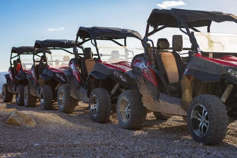 Omi: 2-Person Buggy Tour with Lunch and Wine Tasting - The Realities and Considerations