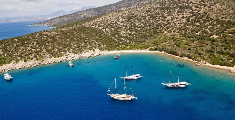 Orak island Boat Trip Bodrum - The Authenticity and Practicality of the Tour