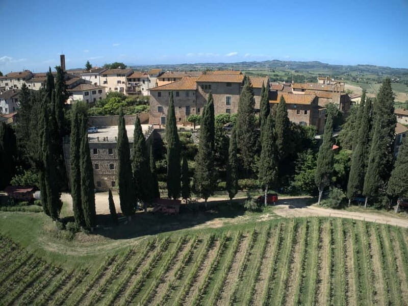 Organic Wine and Food Tasting at Historic Fattoria Majnoni - What You’ll Taste and Learn