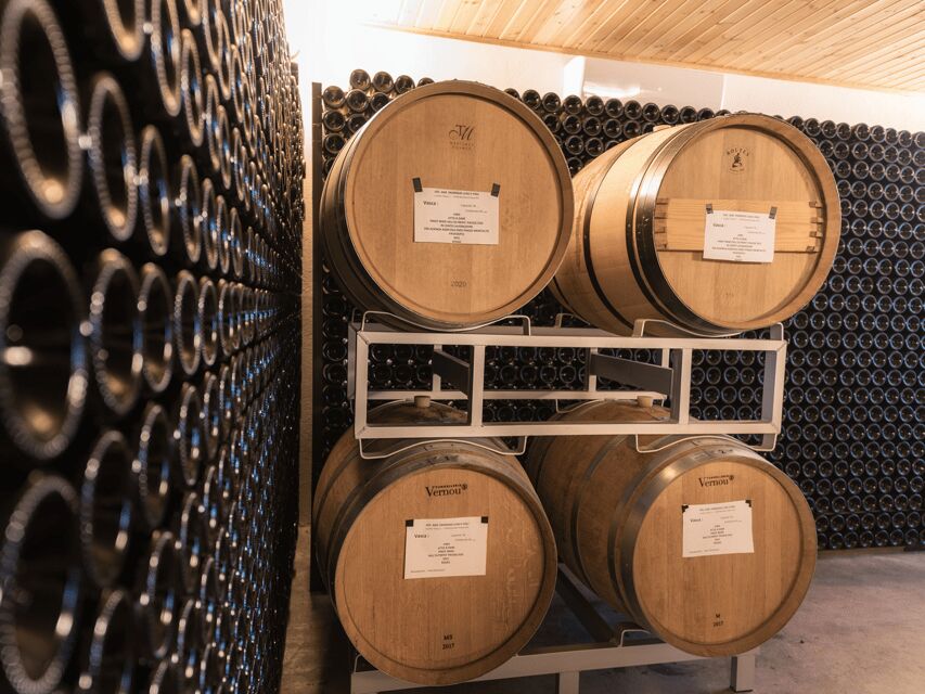 Organic Winery Visit & Wine Tasting with Food in Pavia - The Itinerary Breakdown