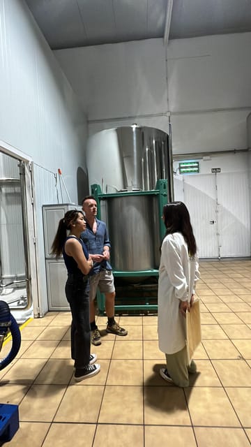 "Oro Bailén": Tour of Oro Bailen Grove + Mill + Tasting - An In-Depth Look at the Tour