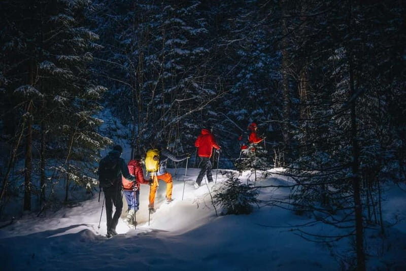 Oslo Forest: Mystery Nocturne Walk with Headlamps - Final Thoughts