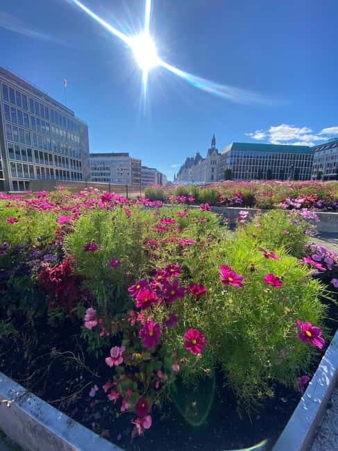 Oslo: Private Walking Tour _City Highlights & Hidden Gems - The Experience: What Makes It Worthwhile