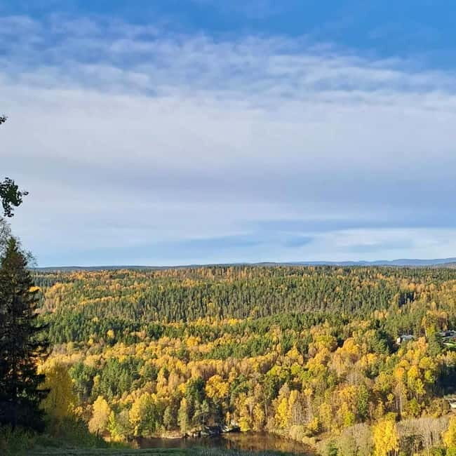 Oslo: Scenic Forest Hike with Dog & Local Guide - What Makes This Hike Special?