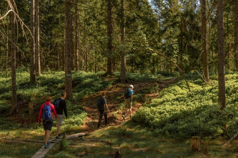 Oslo: The Magical Norwegian Woods Tour - FAQ