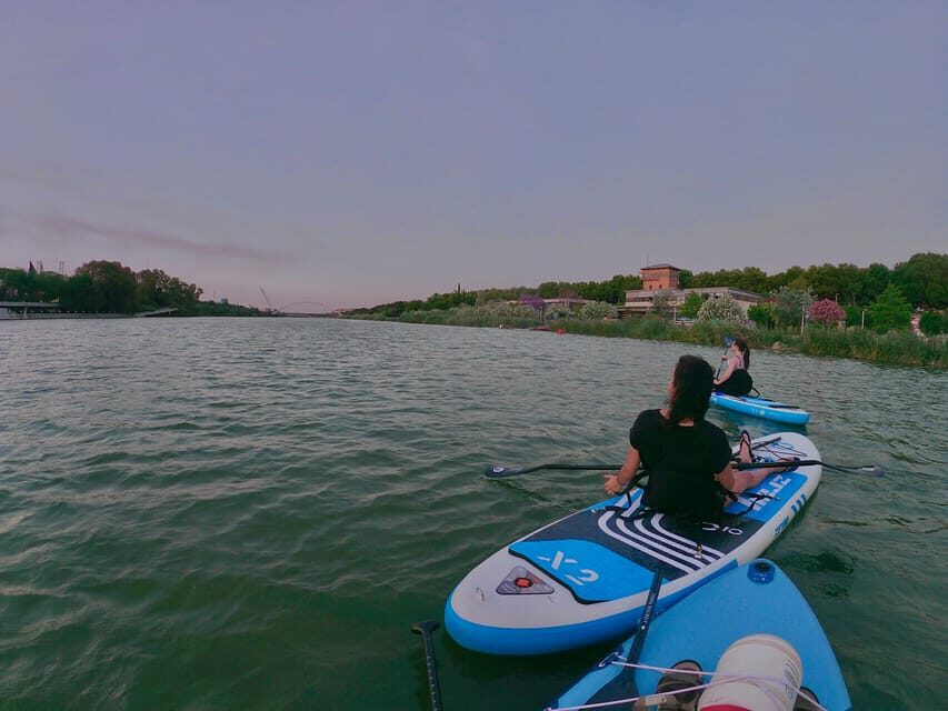 Paddle Surf Tour: Historic Seville, Triana and La Cartuja - What to Expect from the Itinerary