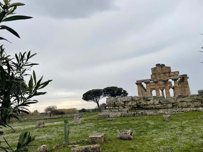 Paestum for cruise passengers - A Deep Dive into the Itinerary