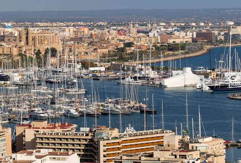 Paguera or Santa Ponsa: Speedboat Cruise to Palma - The Value of This Experience