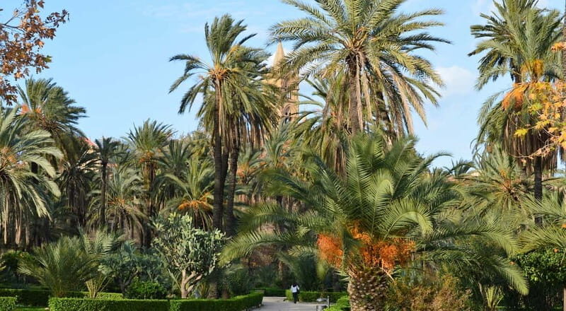 Palermo: Timeless Art & Architecture Trail - The Itinerary Breakdown