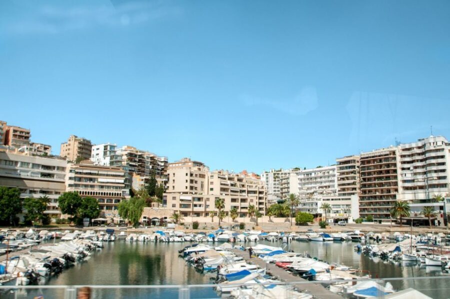 Palma de Mallorca: Full-Day Tour with Departure Options - The Value of the Tour