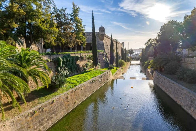 Palma: Old Town Guided Tour with Cathedral Skip-the-Line - What to Expect from the Tour
