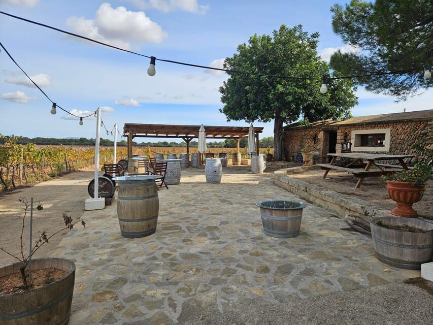 Palma: QI GONG at BODEGAS BORDOY - The Venue: Bodegas Bordoy and Its Surroundings
